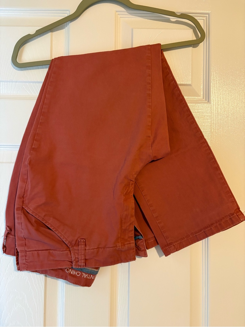 Lee Essential Chino Pants in Burnt Orange